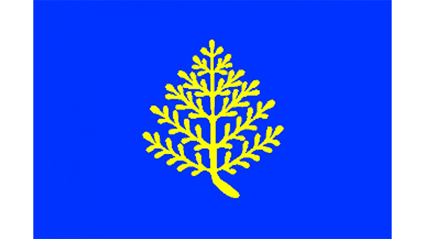 Vlag gemeente Rijssen Vlag gemeente Rijssen - in kleur op transparante achtergrond - 600 * 337 pixels